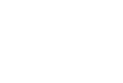 Vertical World